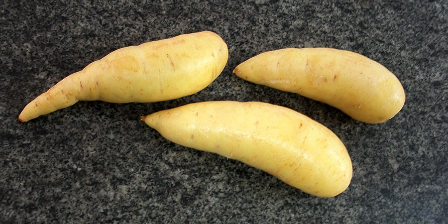 Mandioquinha ou batata-baroa