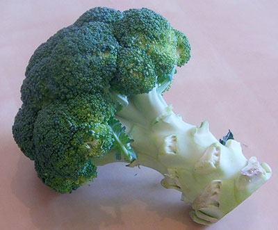 Brócolis-de-cabeça